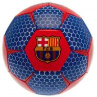 FC Barcelona labda VECTOR